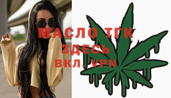 ECSTASY Богородицк