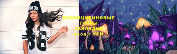 гидропоника Аркадак