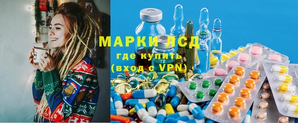 ECSTASY Богородицк