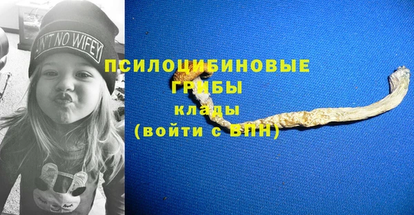 ALPHA PVP Армянск