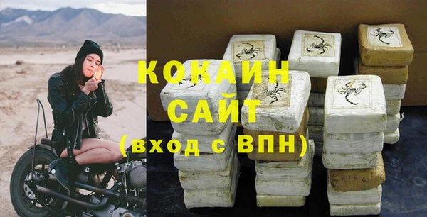 ECSTASY Богородицк