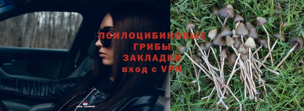 ешки Богородск